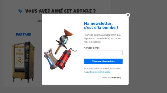 newsletter-fortnite-monsieur-site-web